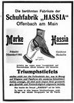Hassia Schuhe 1905 343.jpg